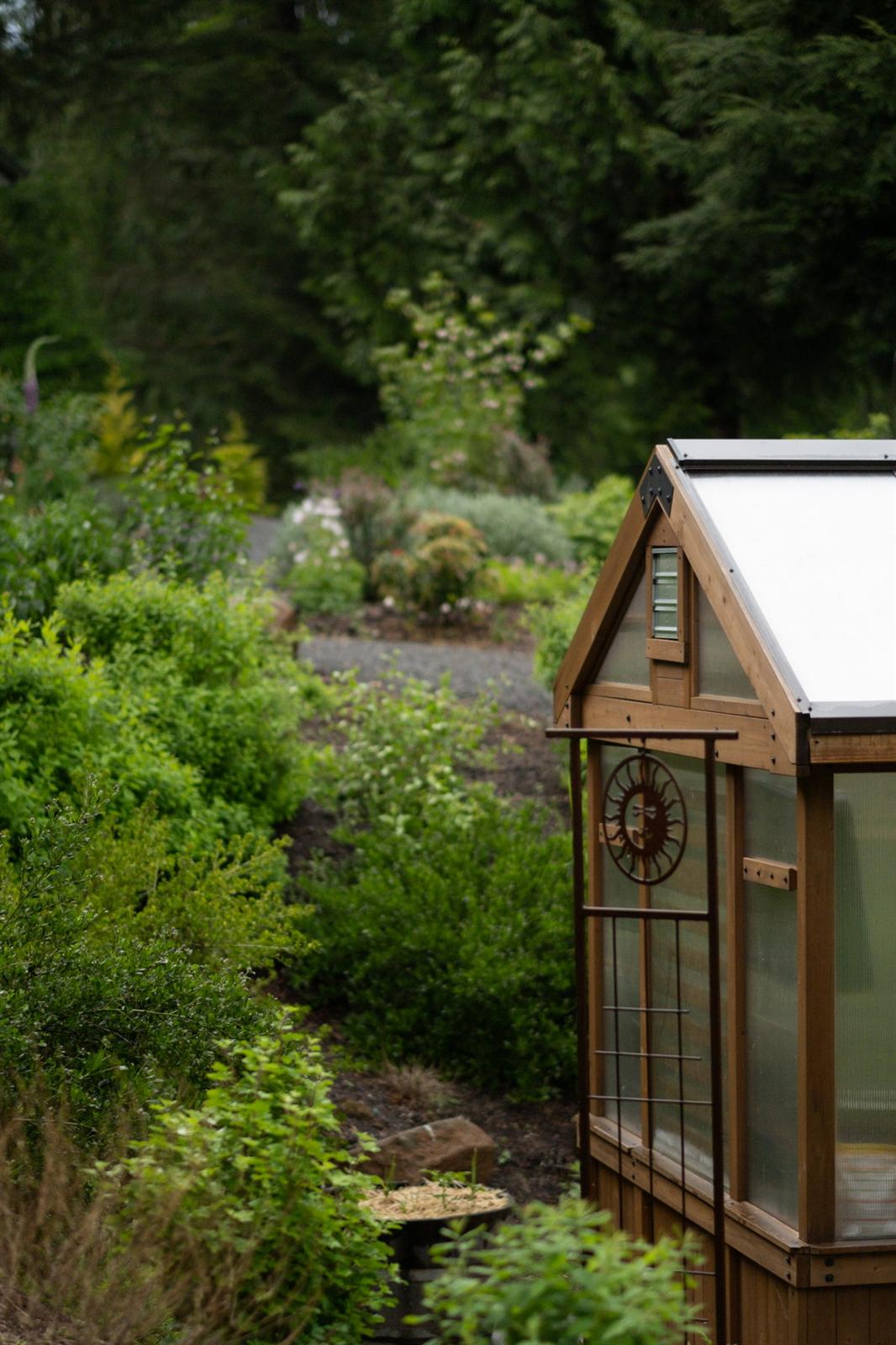Wooden greenhouse nestled in a lush planted garden