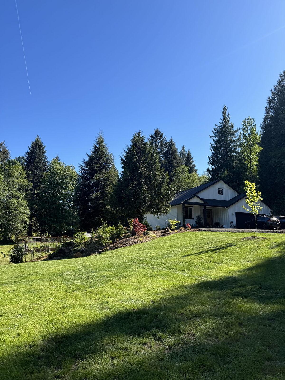 Maintained sloping lawn and planted beds at a forest-edge home